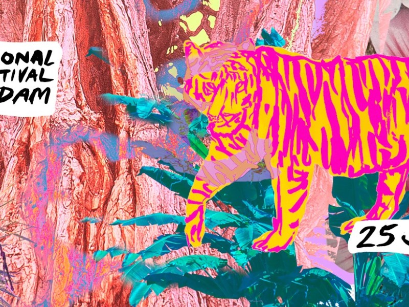 Takes Roterdão 2024: na balada das ‘vidas&nbsp;passadas’