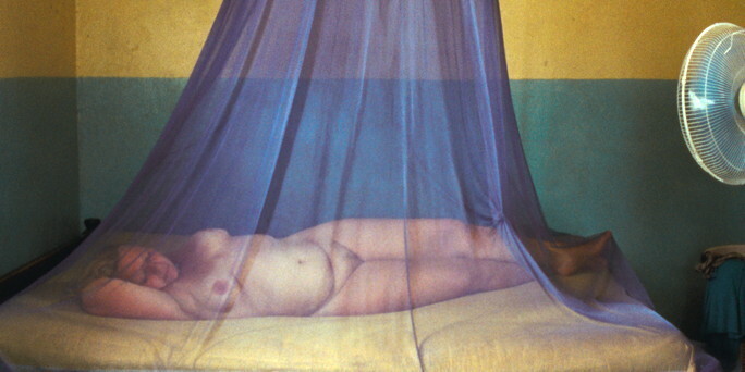 Procura-se amor, ou ‘coisa’ que o valha, nos&nbsp;trópicos