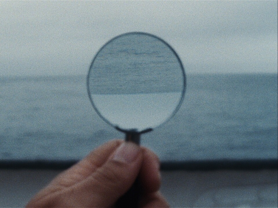 “A Metamorfose dos Pássaros”: a primavera silenciosa da nossa&nbsp;saudade