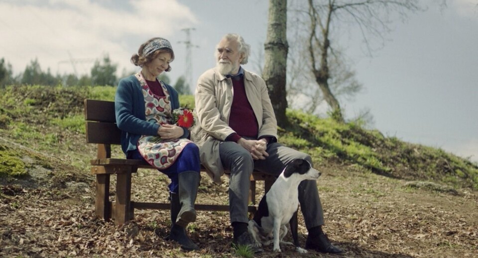 «Surdina»: Sussurrando nos nossos ouvidos, a esperança de mais um&nbsp;Dia