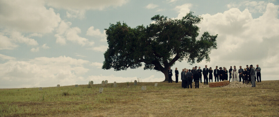 Que “cinema português” habita na “A&nbsp;Herdade”?