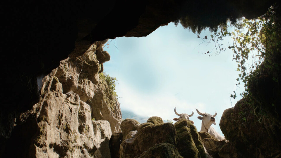 Michelangelo Frammartino: “sacrificamos muito para que ‘Il Buco’ fosse possível ser visto em grande&nbsp;ecrã”