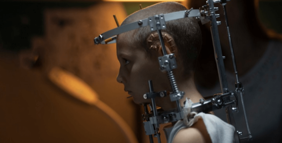 Metamorfose dos Pássaros