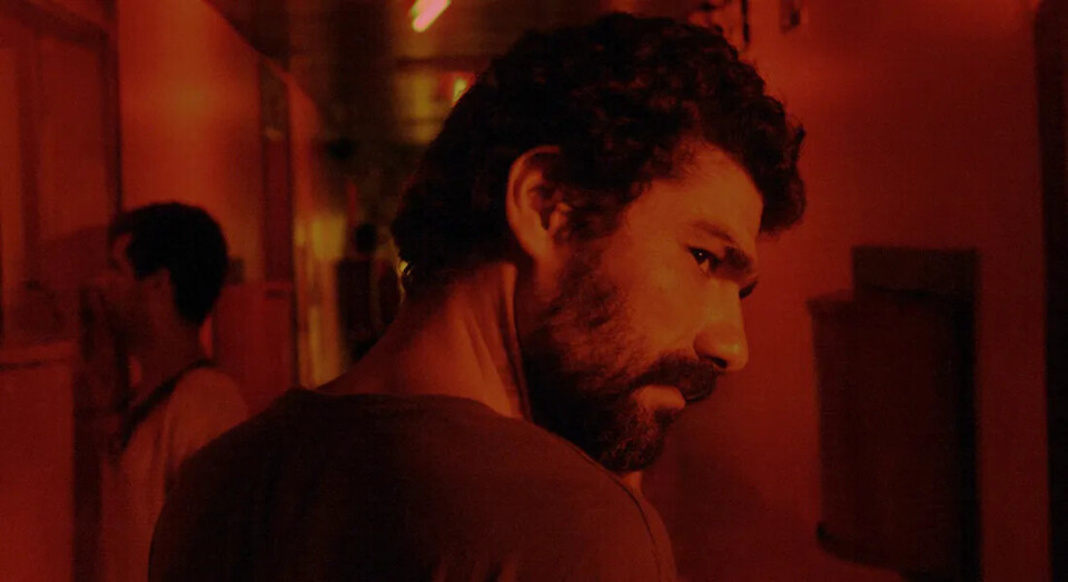 “Elon não Acredita na Morte”: quando o fim é só o meio de transição, uma figura de&nbsp;estilo