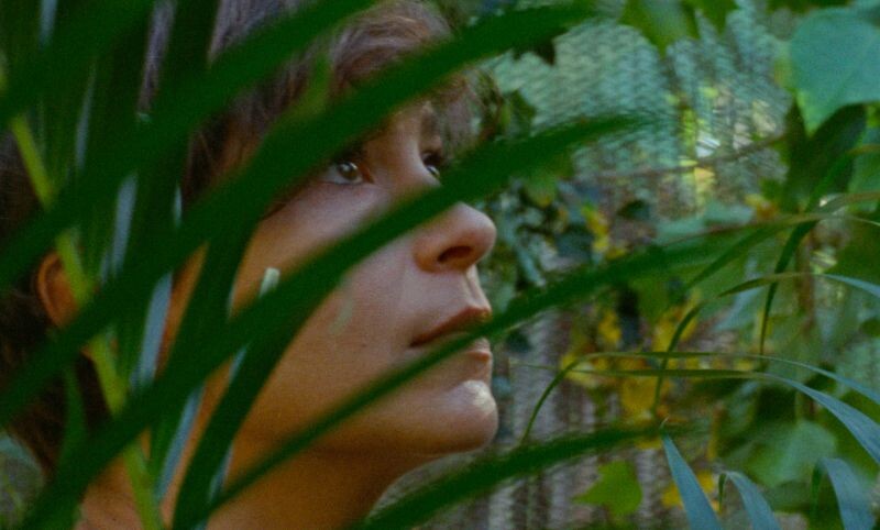 Falando com Crista Alfaiate, a musa confinada de Miguel Gomes e de Maureen&nbsp;Fazendeiro