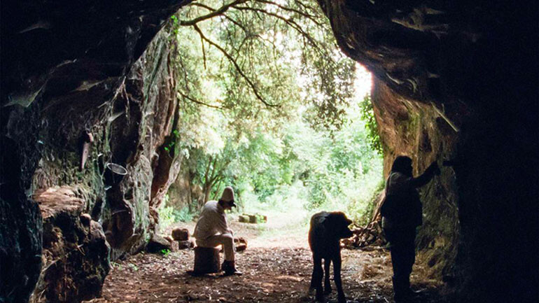 Num mundo de loucos e imortais, ser búfalo é um&nbsp;arte!