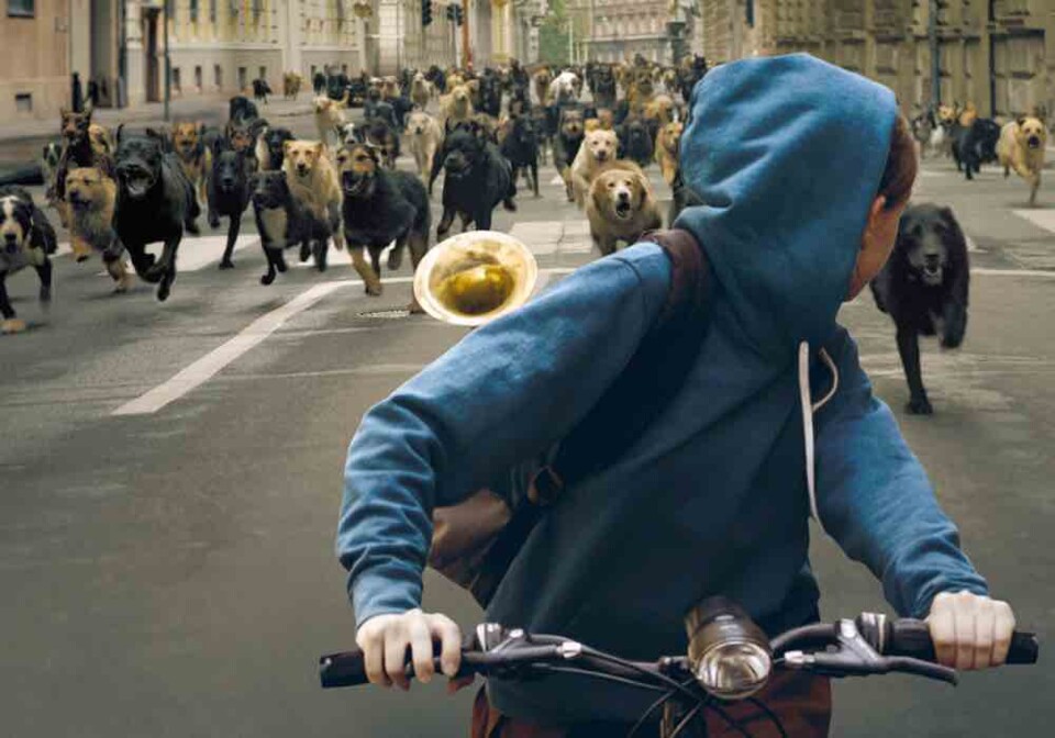 O Apocalipse é&nbsp;canino!