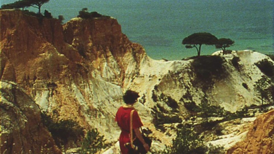 Conexões e fidelidades cinéfilas: Encontros de Cinema do Fundão celebra mais uma edição com Cinema, amizade e&nbsp;memória