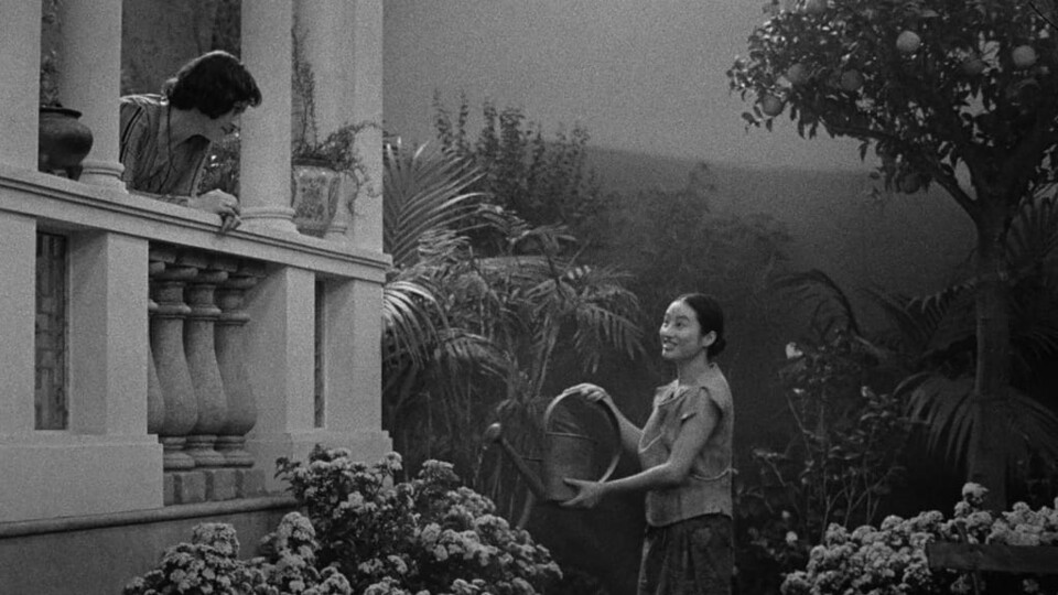 Uma “ereção violenta” de&nbsp;Cinema