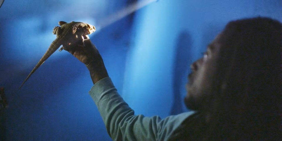 «Até Ver a Luz», porque fora isso é a obscuridade que&nbsp;reina