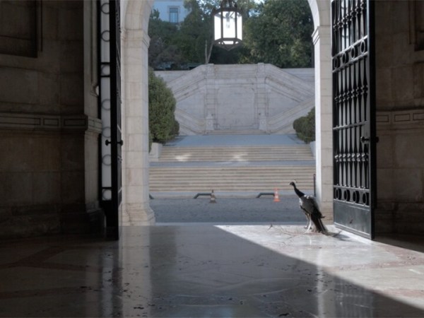“A política também é a nossa atitude perante a vida, a sociedade, onde estamos, o que fazemos, a nossa presença”: conversa com Rui Pires, o realizador de “O Palácio de&nbsp;Cidadãos”