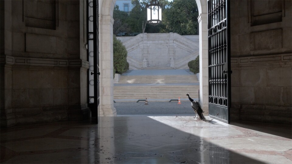 “A política também é a nossa atitude perante a vida, a sociedade, onde estamos, o que fazemos, a nossa presença”: conversa com Rui Pires, o realizador de “O Palácio de&nbsp;Cidadãos”