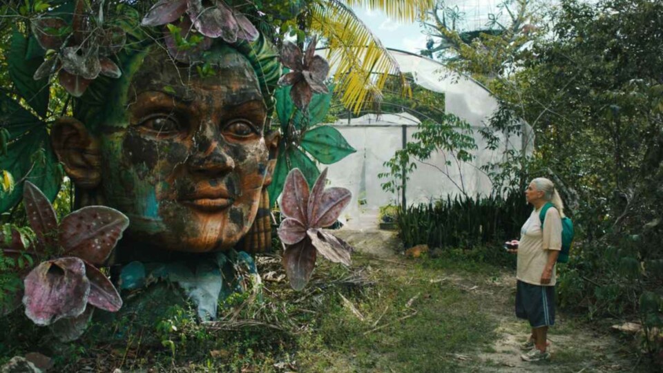 O Fio de Baba Azul-Fluorescente