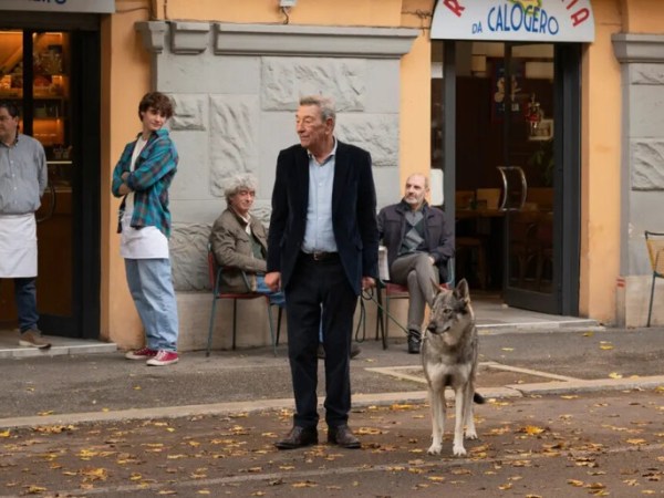 Lobo e Cão&nbsp;Velho