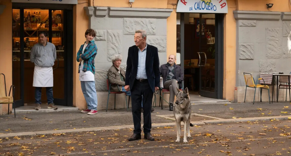 Lobo e Cão&nbsp;Velho