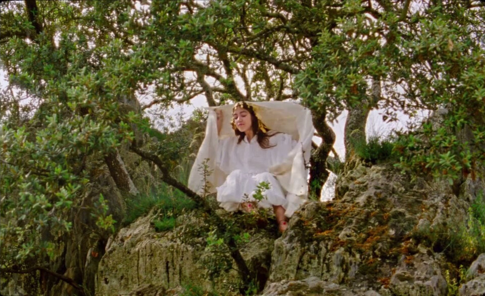 O Segredo das Pedras&nbsp;Vivas