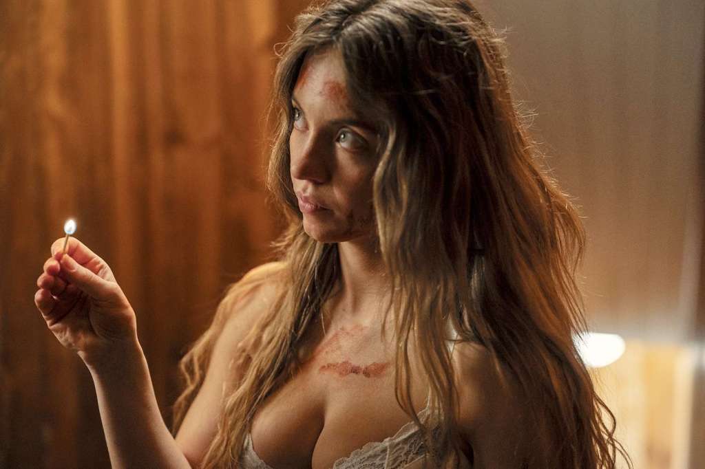 Difícil de encontrar boa criadagem nestes&nbsp;dias.