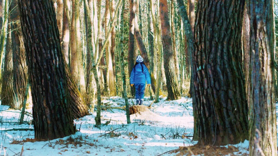O sacrifício de um cervo&nbsp;sagrado