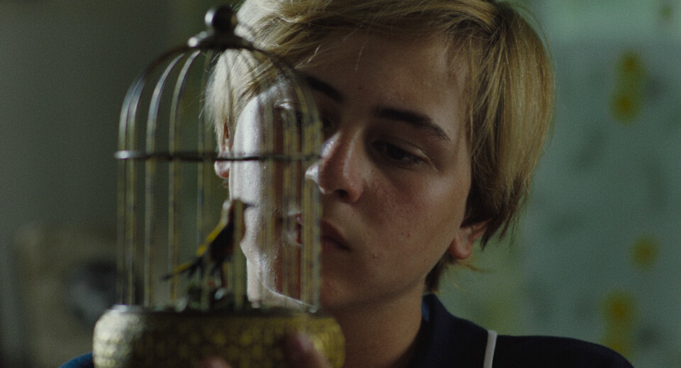 Margarida Gil: “sempre fugi do real, porque para mim o real não é suficiente.”