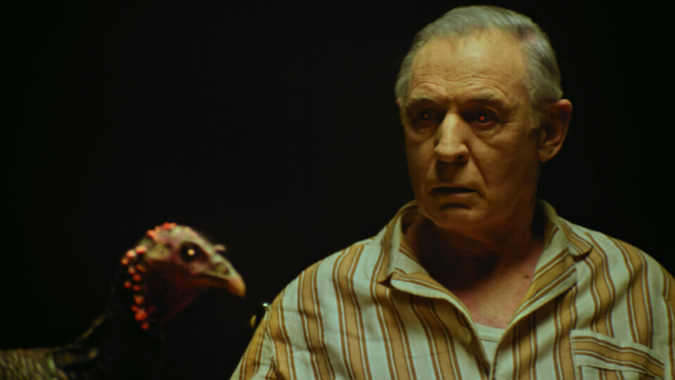 Deixem Salazar morrer&nbsp;…