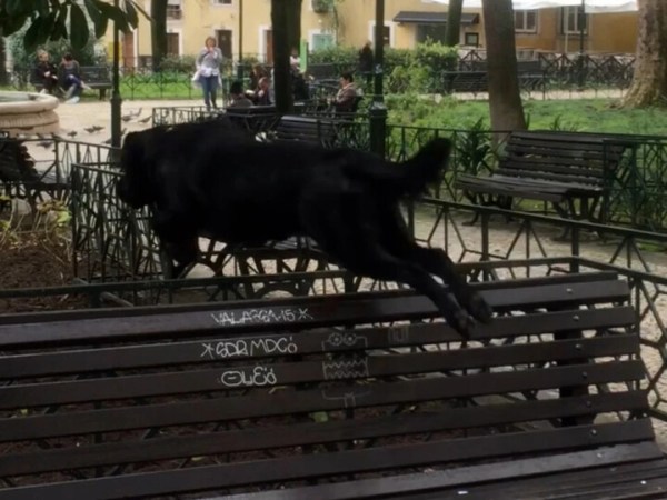 Porque a vida não é só flores&nbsp;…