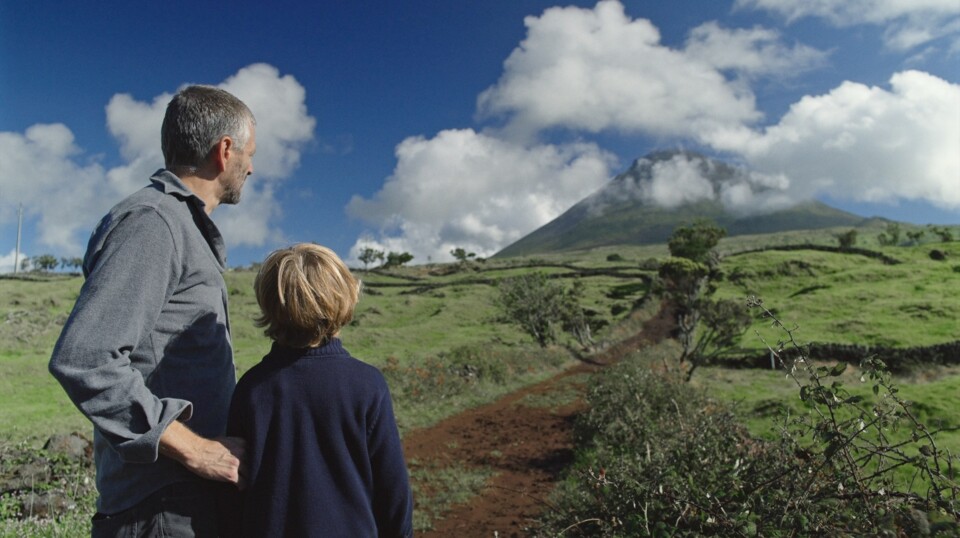 Para não perdermos Margarida Gil de vista&nbsp;…