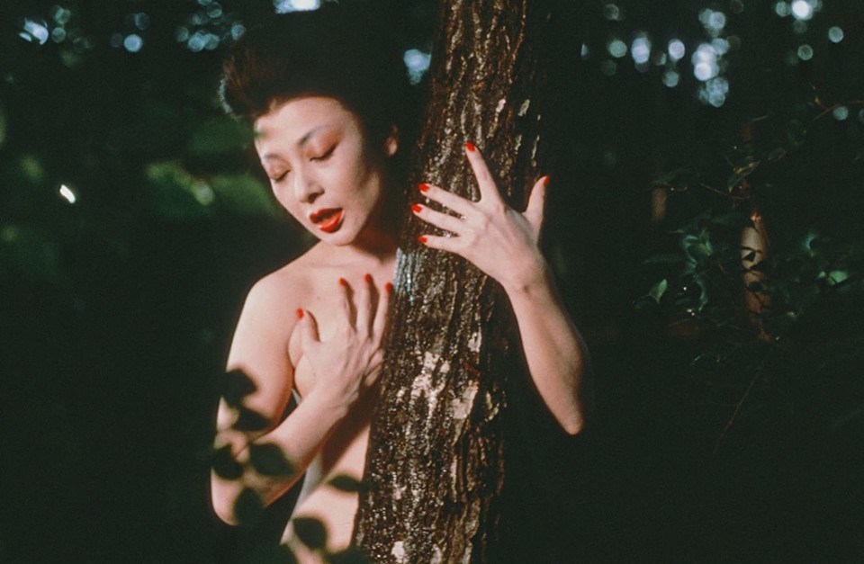 «Roman Porno»: Onde o sexo tem lugar&nbsp;…