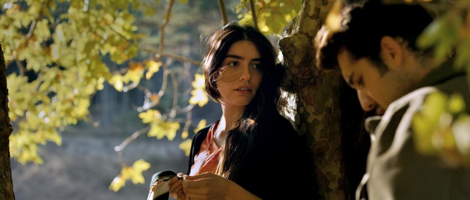 O Cinema também se faz debaixo de uma pereira&nbsp;…