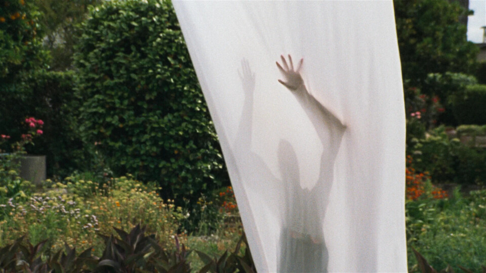 João Miller Guerra sobre “Légua”: “desde o princípio o trabalho com a realização, com a autoria, é sempre um exercício de grande entendimento”