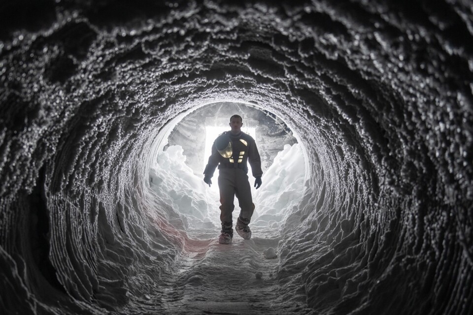 Quem é que acordou Nolan&nbsp;hoje?