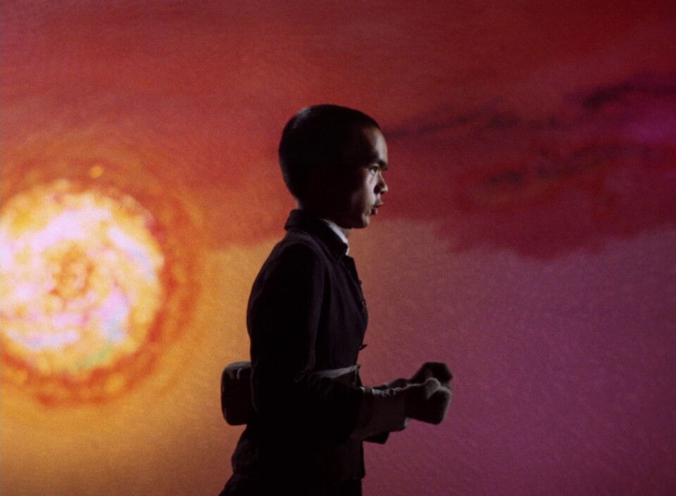 “Pouca-terra … pouca-terra … pouca-terra”