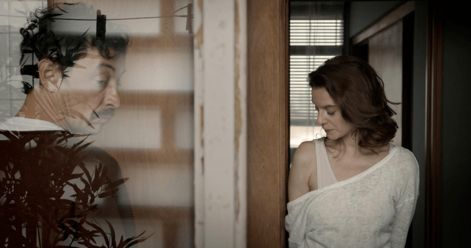 Será que as tartarugas também&nbsp;amam?