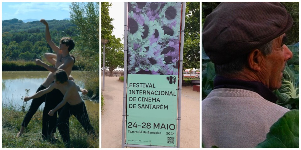 O regresso do Festival Internacional de Cinema de Santarém: o cinema enquanto terra que nos&nbsp;marca