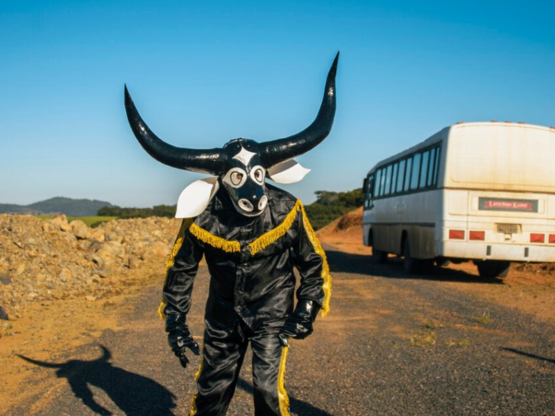 O que poderemos esperar do Curtas Vila do Conde de 2020? Nuno Rodrigues, diretor do festival,&nbsp;responde