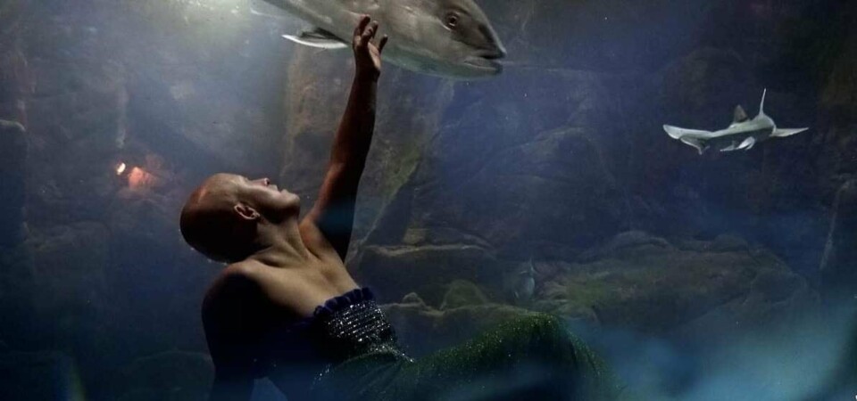 Falando com Jorge Jácome: “uma reivindicação política a presença de ‘Super Natural’ nas&nbsp;salas”