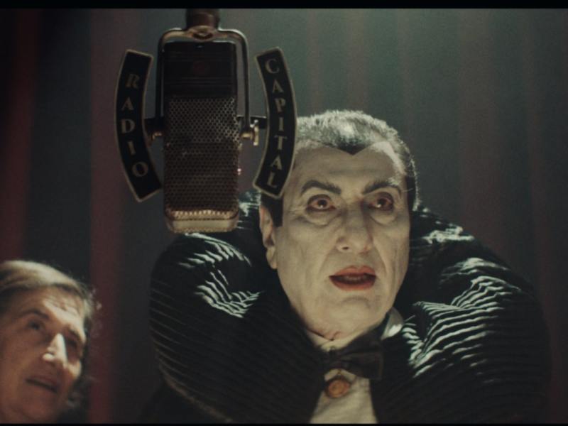 O Drácula afinal era um&nbsp;pássaro!