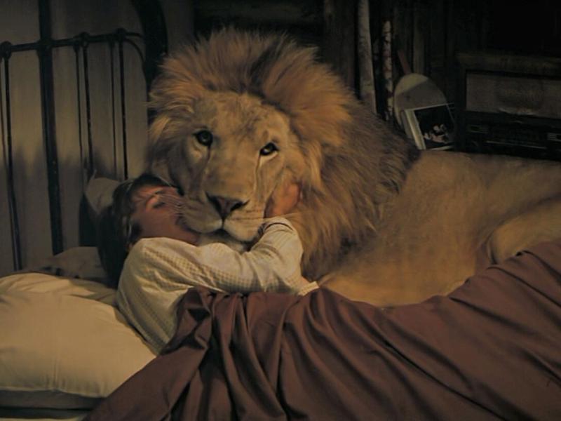 Sem protocolos de segurança … bem-vindos ao “filme mais&nbsp;perigoso”