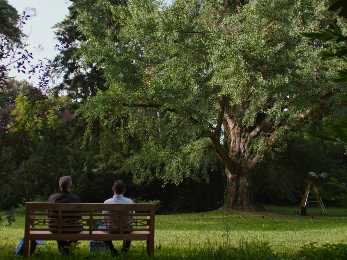 Plantar cinema nos “tempos&nbsp;velozes”