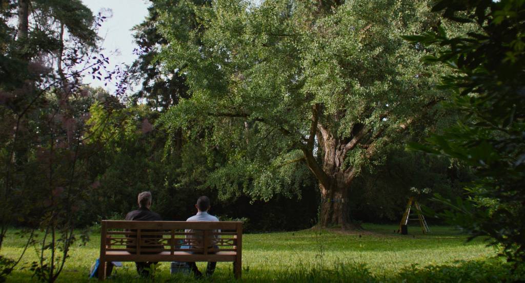 Plantar cinema nos “tempos&nbsp;velozes”
